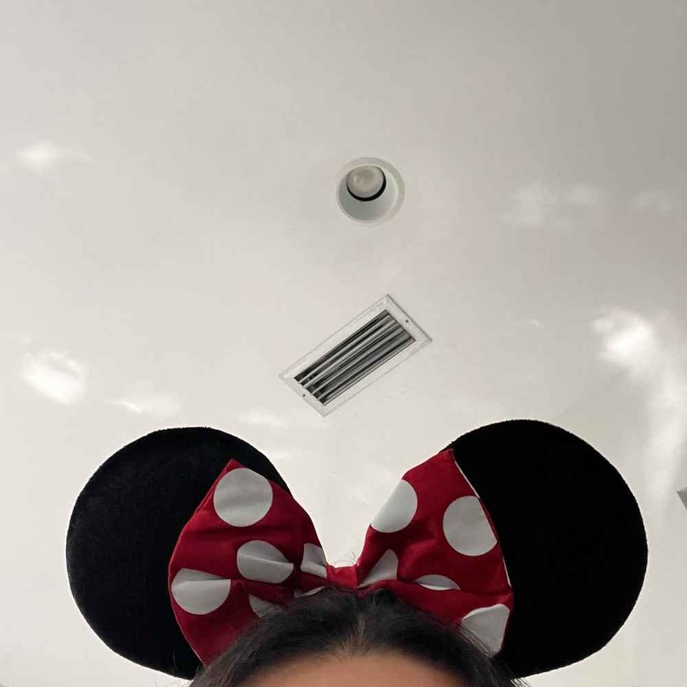Minnie Mouse ears